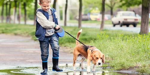 Niños y mascotas, ¿qué responsabilidades podemos darles?