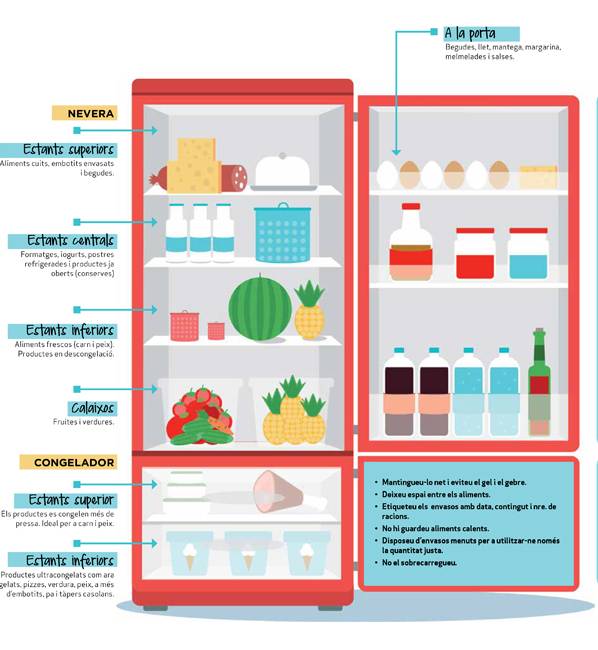 Cómo organizar los alimentos en tu cocina