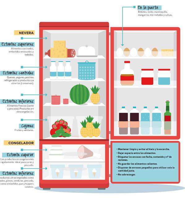 Ideas para conservar bien los alimentos en tu cocina - Cómo organizar los  alimentos en tu cocina