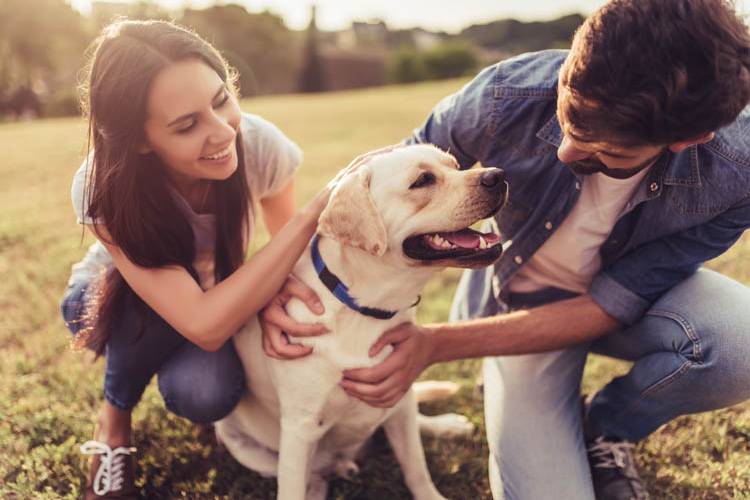 ¿Quién se queda con la mascota?