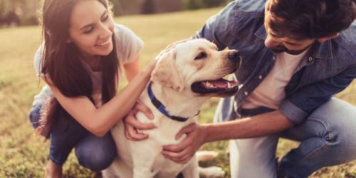 ¿Quién se queda con la mascota?