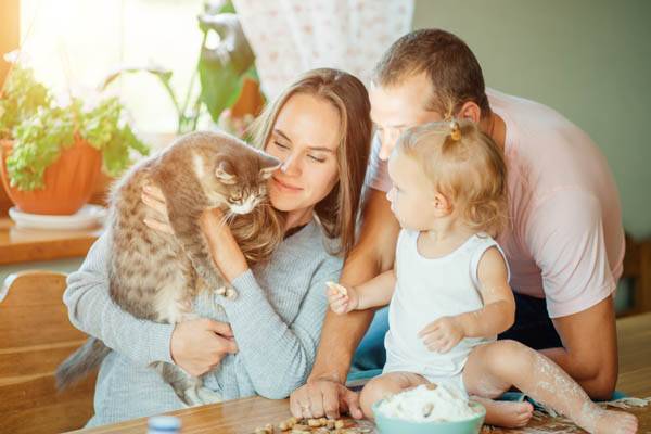 ¿Quién se queda con la mascota?