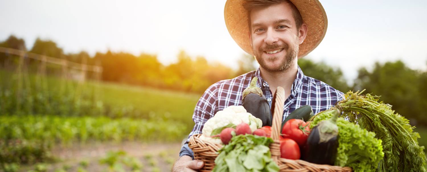 5 Beneficios de los alimentos de temporada