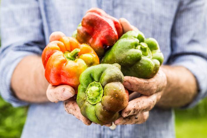 Tipos de pimientos y cómo cocinarlos