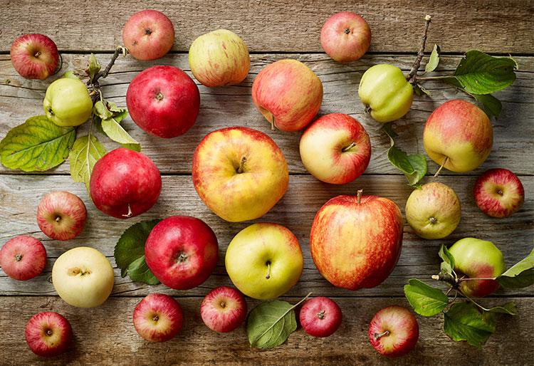 Tipos de manzanas
