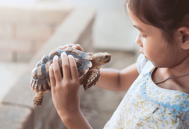 SOS para la biodiversidad: Especies Exóticas Invasoras