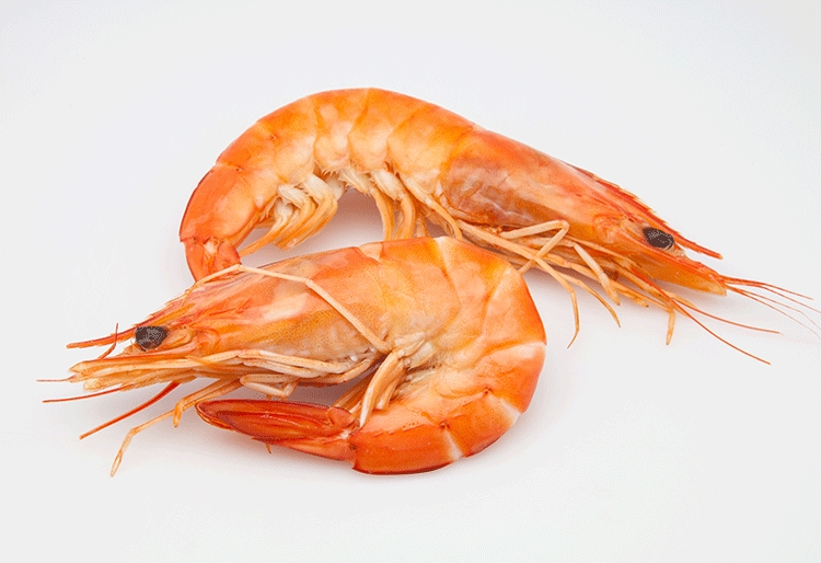 The prawn: qualities and benefits - Entrenosotros
