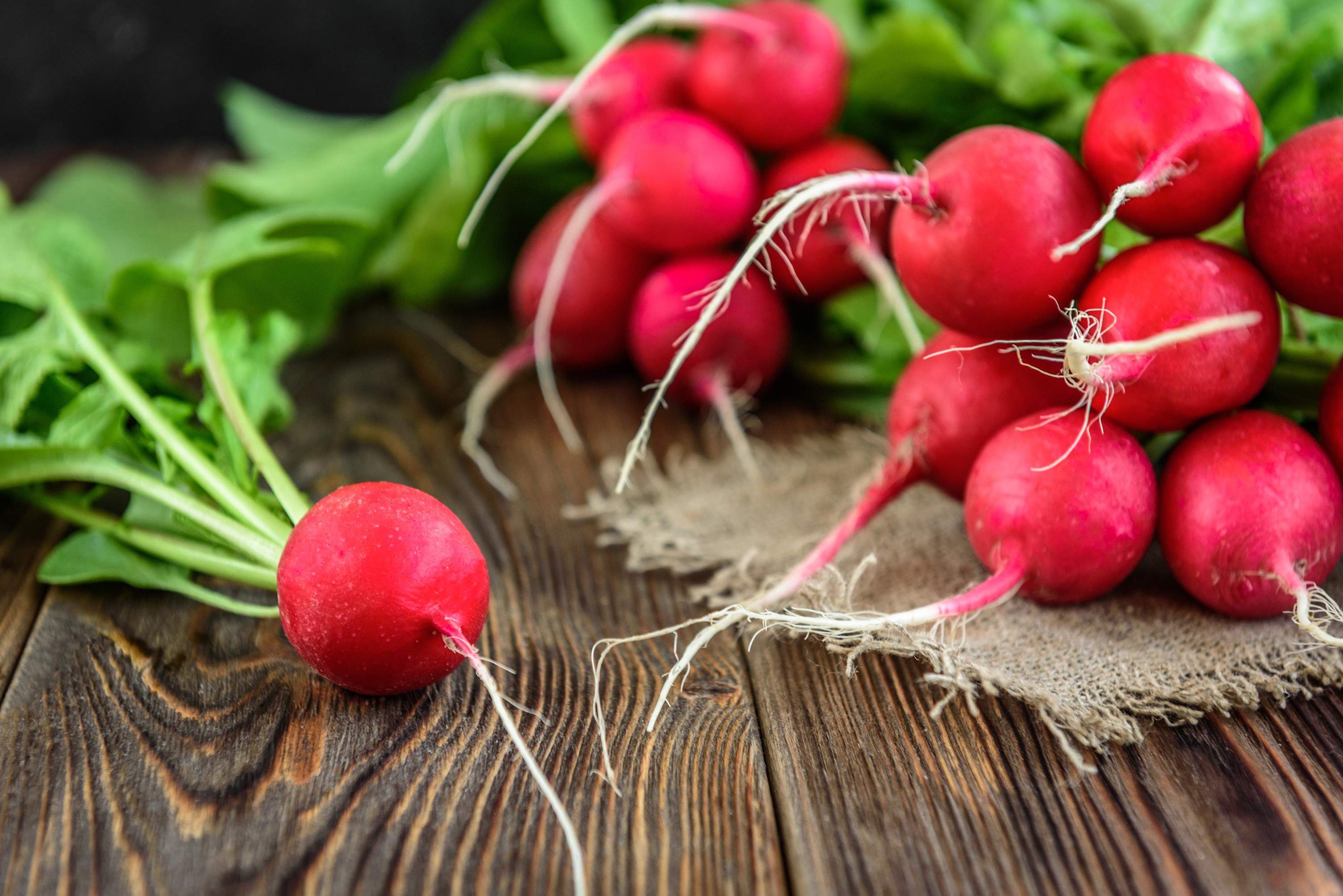 Propiedades de los frutos rojos - Entrenosotros