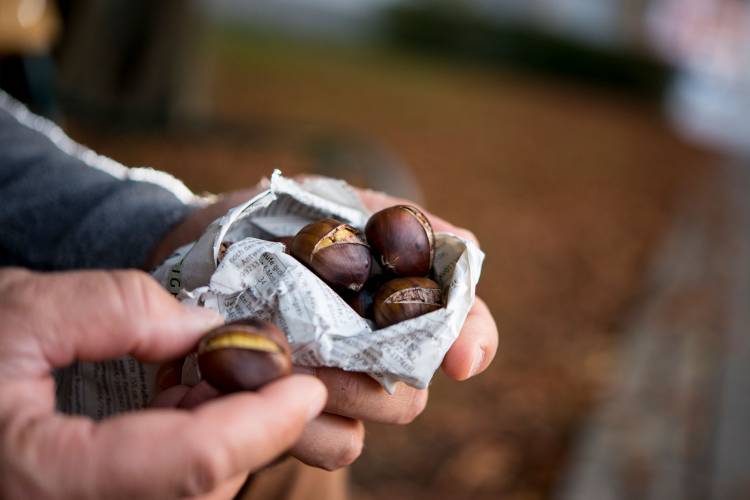 Chestnuts are roasting: Outdoor, heated accessories to keep your