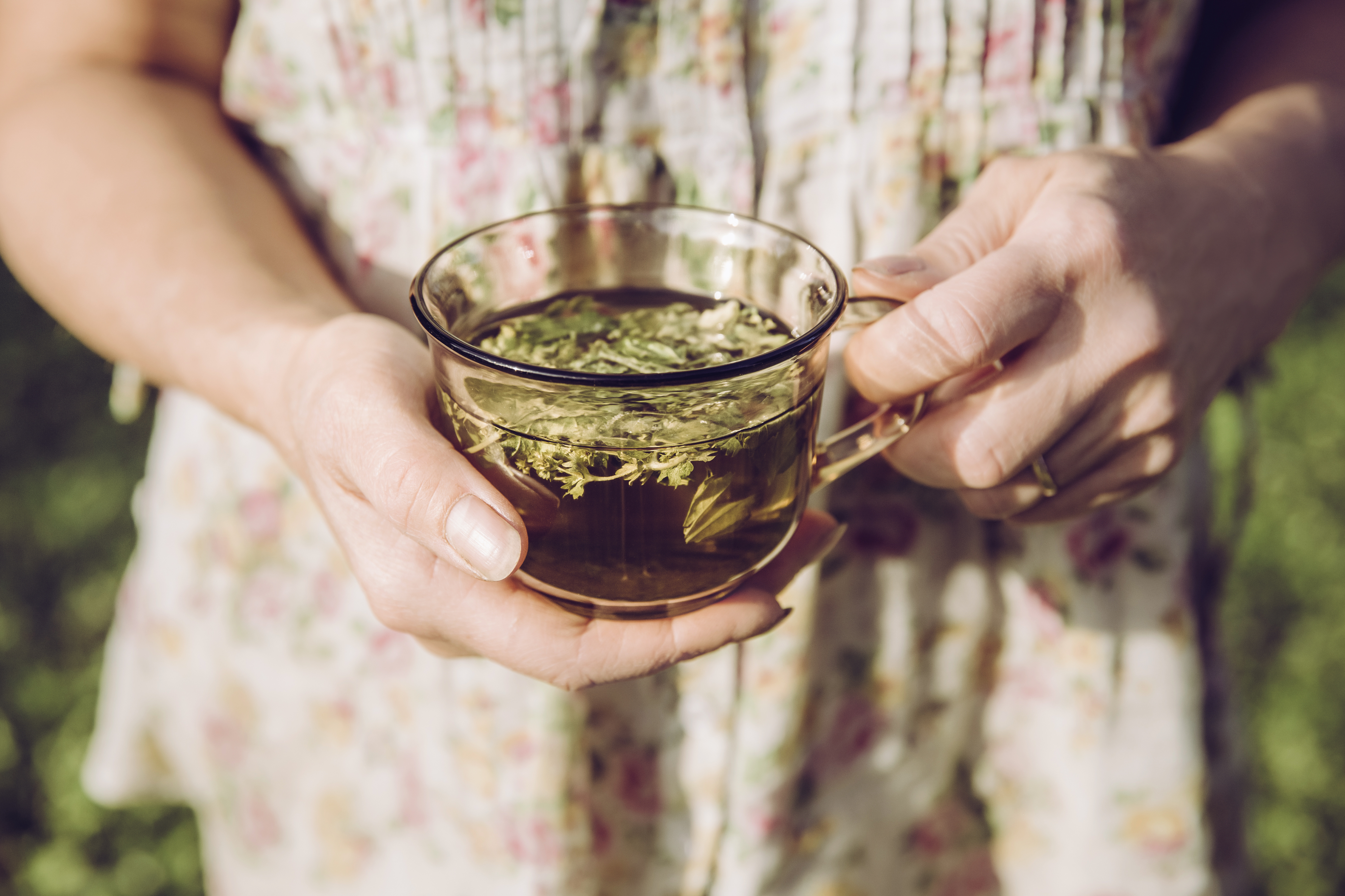 The differences between infusions and herbal teas, and how to