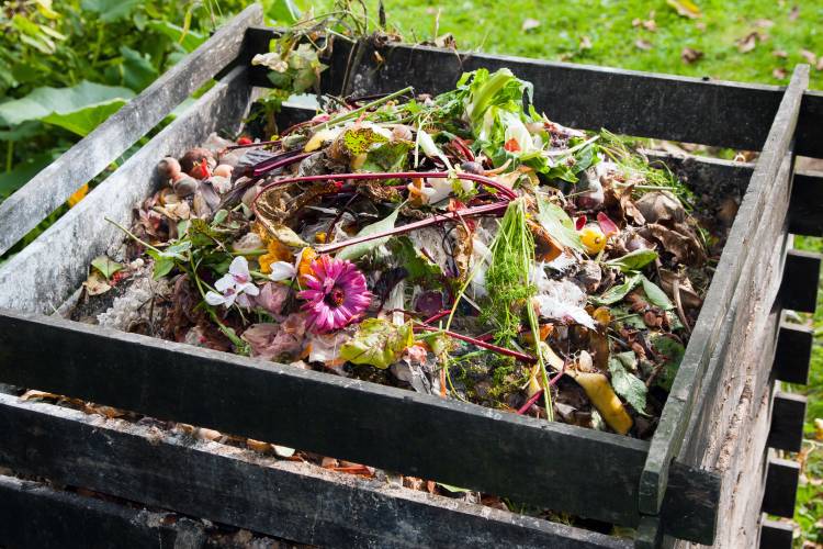 Cómo hacer compost en casa